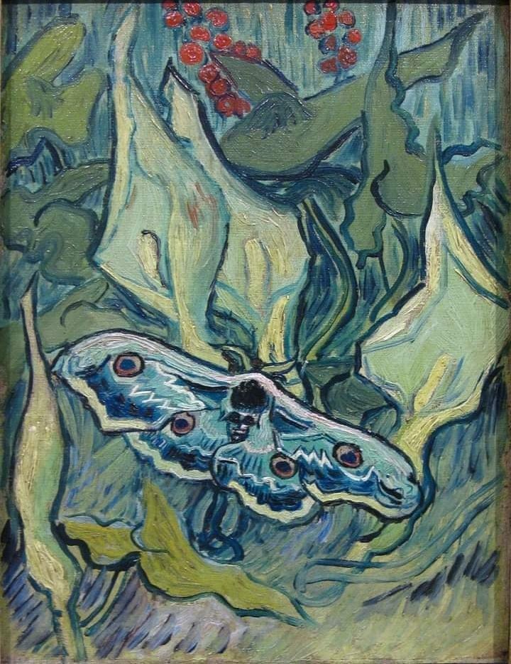 dinamittEros's tweet photo. Van Gogh. https://t.co/QJvylxIgal