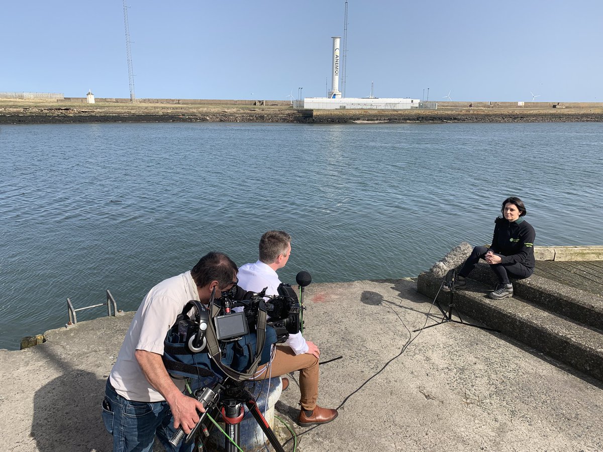 It’s all go this week .....10pm tonight  @itvnews discussing native oysters and #climate #adaptation #resilience @wild_oysters_project @envagency @envagencyyne @officialzsl @britishmarine @portofblyth @GWKNE #oceanrecovery #coastalrestoration #nativeoysters #marineconservation