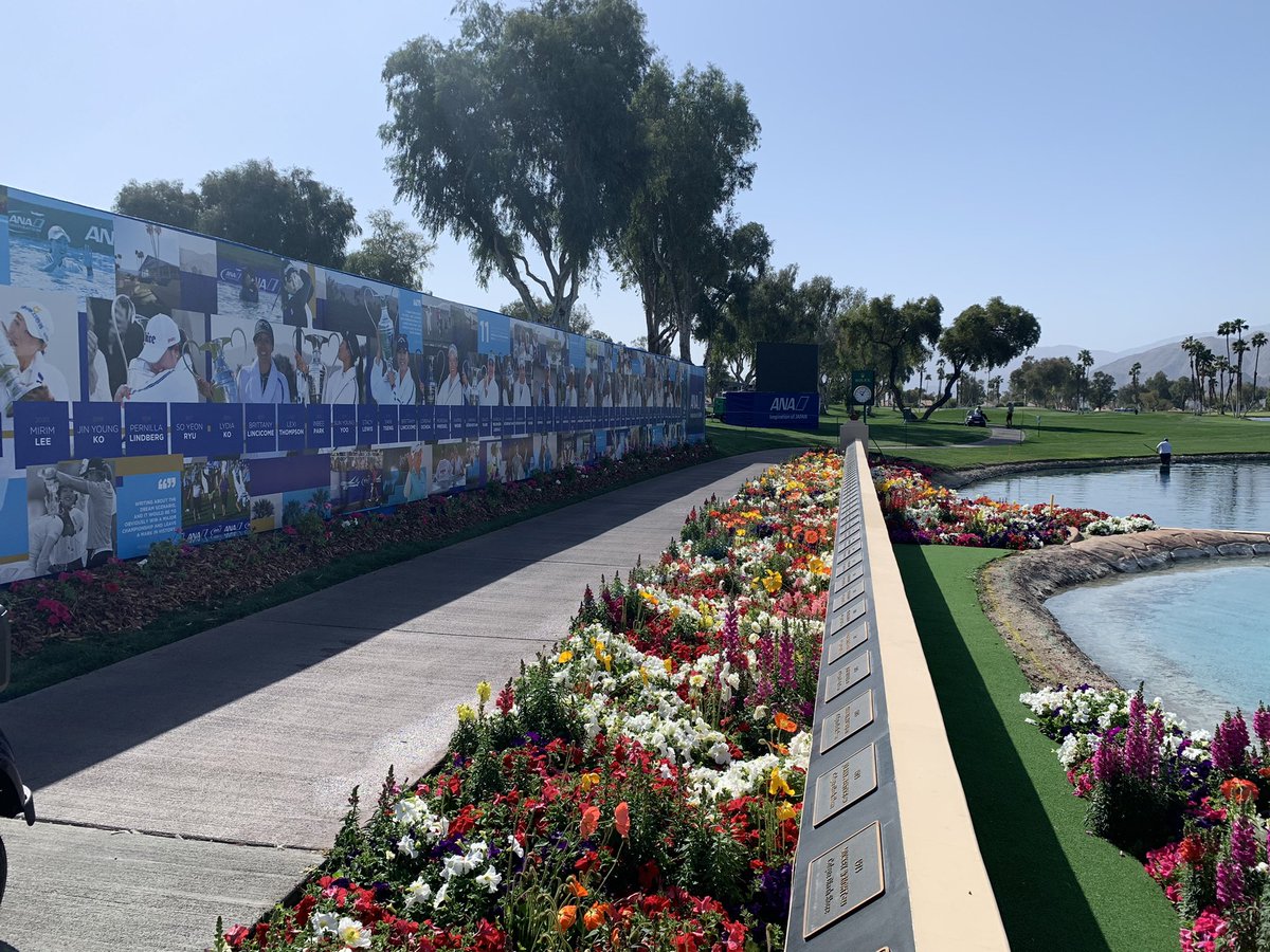 Michael Whan tweet media