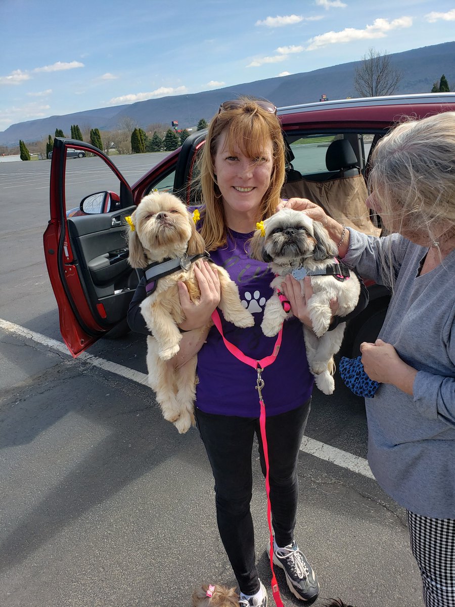 resqpups's tweet photo. STFBR foster parents Care and Mike took a road trip with their crew, Lily and Izzy (alums), and Ginger drive from OH halfway to CT to meet Raven (Spring) and Savannah (Dawn)'s forever family this weekend. https://t.co/tFJNEFKDBo