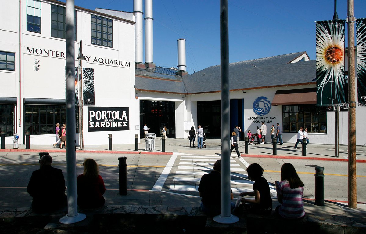MontereyHerald's tweet photo. Monterey Bay Aquarium opening for members May 1, general public May 15 https://t.co/pbbnFN3ML1 https://t.co/fpo8NigOFz