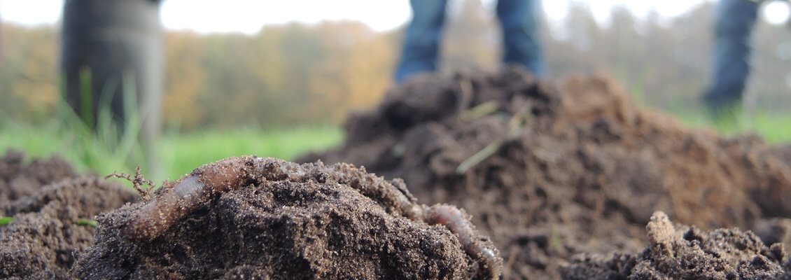 In het project Gedragswetenschappen is via zgn. gedragsinterventie gekeken hoe je agrariërs kunt bereiken en werven voor beter bodembeheer <a href="/WURenvironment/">WUR Environmental</a> <a href="/KWR_Water/">KWR Water Research Institute</a> <a href="/DeltaresNL/">DeltaresNL</a> <a href="/rivm/">RIVM</a> <a href="/IPO_Provincies/">IPO</a> <a href="/MinIenW/">Ministerie van Infrastructuur en Waterstaat</a> <a href="/waterschappen/">Unie v Waterschappen</a> <a href="/vewin_water/">Vewin</a> <a href="/STOWAwater/">STOWA</a> 
kennisimpulswaterkwaliteit.nl/nl/nieuws/agra…