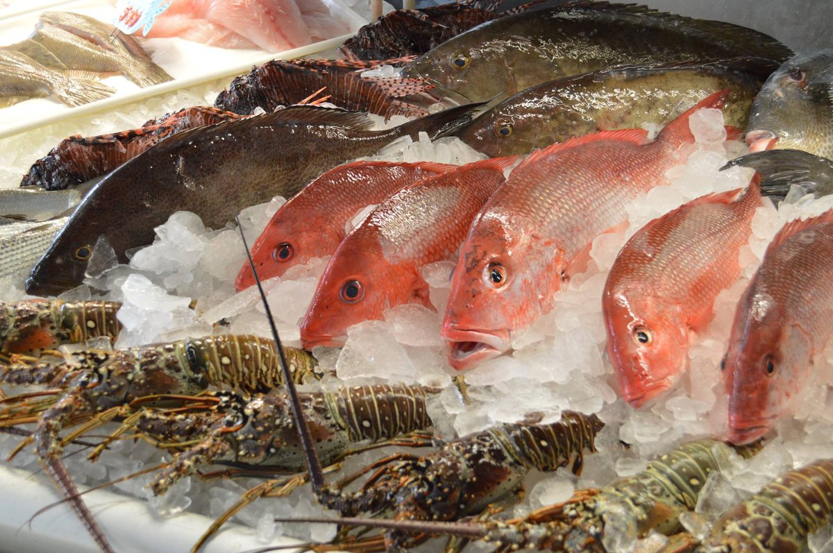 Tarpon Dock Seafood Market tweet media