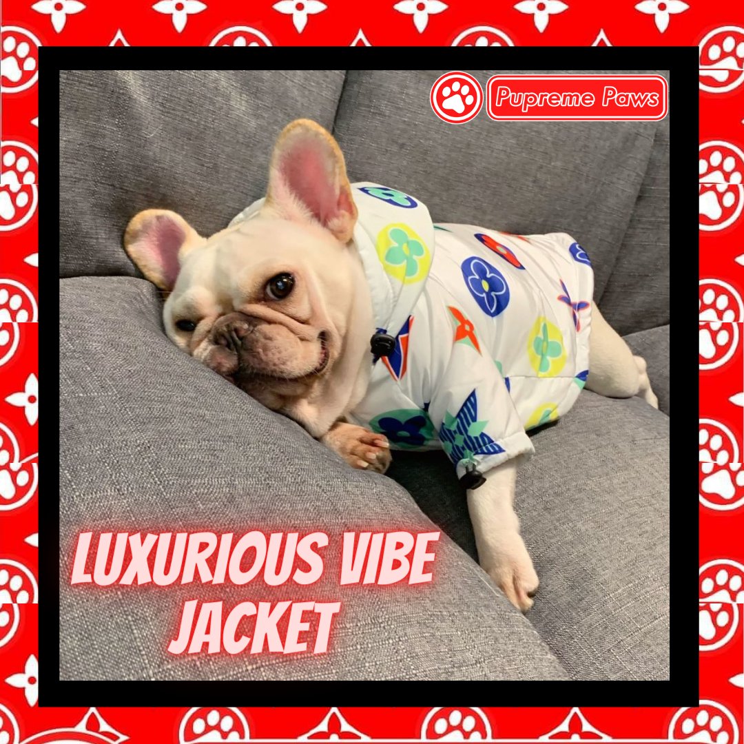 PupremePaws's tweet photo. 🌟Luxurious Vibe Jacket🐶
https://t.co/jtuU7Z0n6y

#pupremepaws #pupreme #doglife🐾👣 #doglifes #doglifejacket  #dogofmylife #dogofday #dogoftheworld  #dogofig #dogofinstaworld #dogoftheweek  #dogstuff #dogofthedayjp #dogofinstagram #dogoftheday #dogsofinsta #dogs #instagood https://t.co/MJYorikm2s