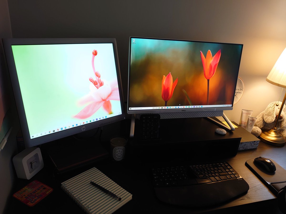 meganjanedee's tweet photo. Life will never be the same again. I'm practically giddy #2screens #homeworking https://t.co/n5ewv3jeJv