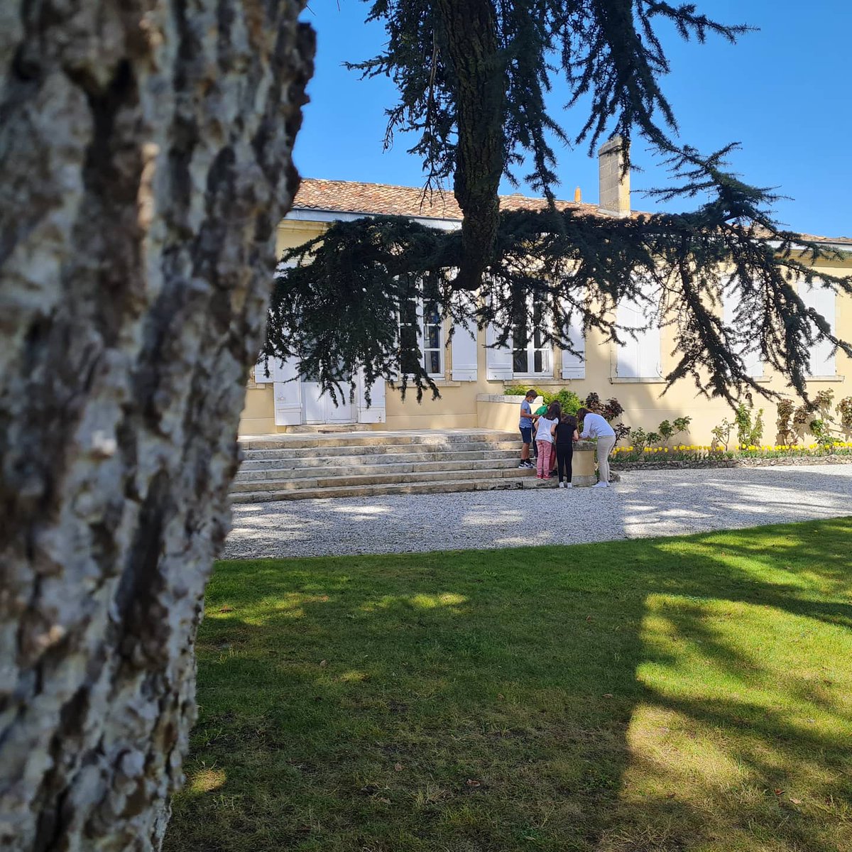 LatourMartillac's tweet photo. Ce samedi 3 avril, venez découvrir notre chasse aux trésors de #paques. En #famille, lancez-vous à la recherche des œufs colorés cachés dans le parc du Château pour remporter un trésor très chocolaté.
Infos / résas : 0557977111
#bordeaux #chocolat #pessacleognan #vin #wine #event https://t.co/diljX7mmcu