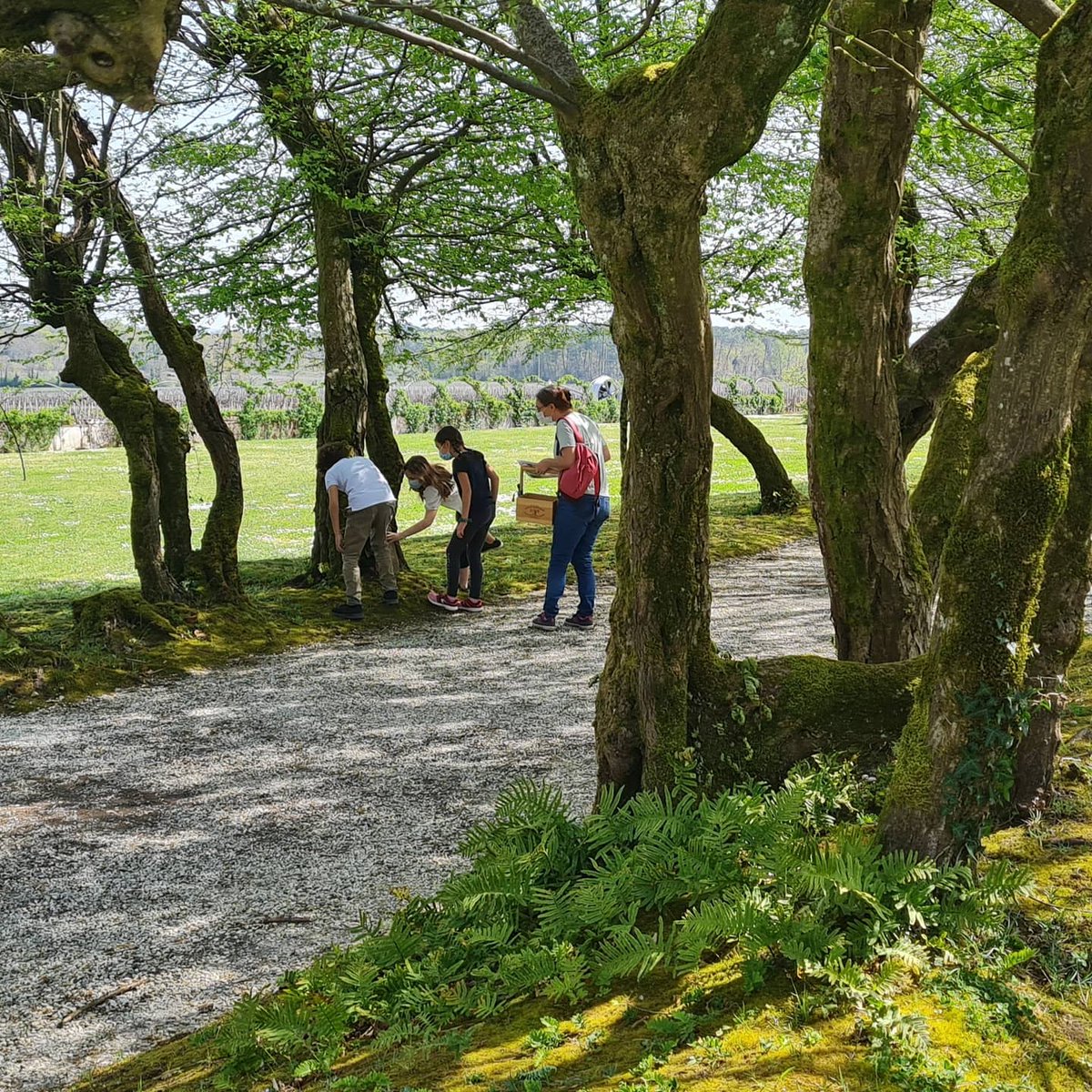 Ce samedi 3 avril, venez découvrir notre chasse aux trésors de #paques. En #famille, lancez-vous à la recherche des œufs colorés cachés dans le parc du Château pour remporter un trésor très chocolaté.
Infos / résas : 0557977111
#bordeaux #chocolat #pessacleognan #vin #wine #event