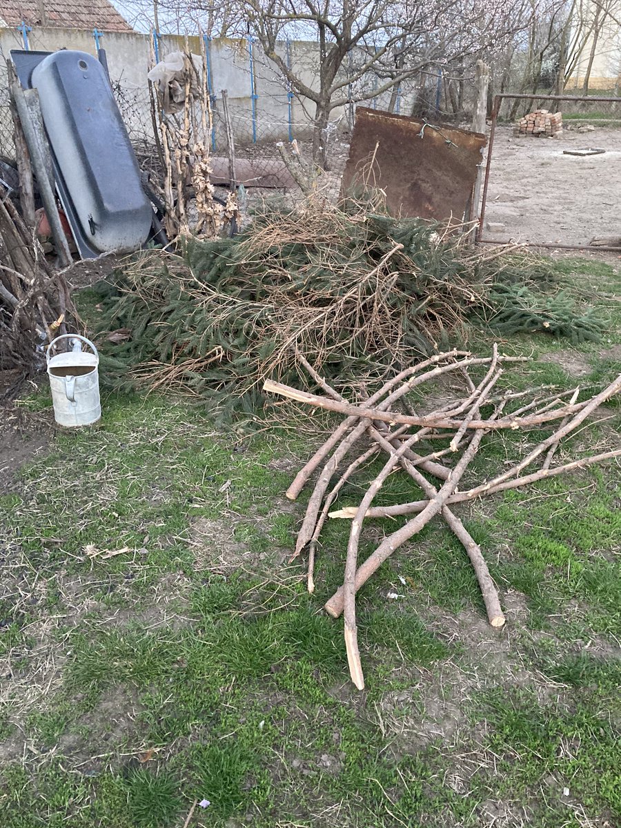 Бубамара из Кикинды tweet media