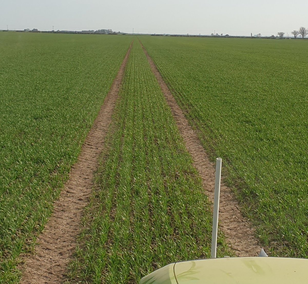 sunkfarmer's tweet photo. Hell of a day today with the fert spreader. We've covered 292ha been absolutely perfect for this job, we wouldn't have had it better if we'd ordered it. Almost flat calm #spoton @CLAAS_UK @CLAAS_Eastern @Amazone @TrelleborgWheel #yaraNsensor #Arion650 #clubhectare #sunkisland https://t.co/Jv20ltD1oP