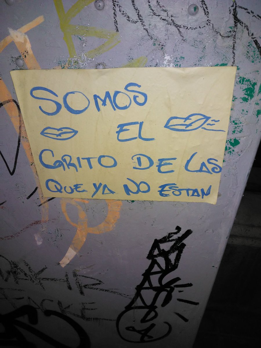 Fabiola Delfín tweet media