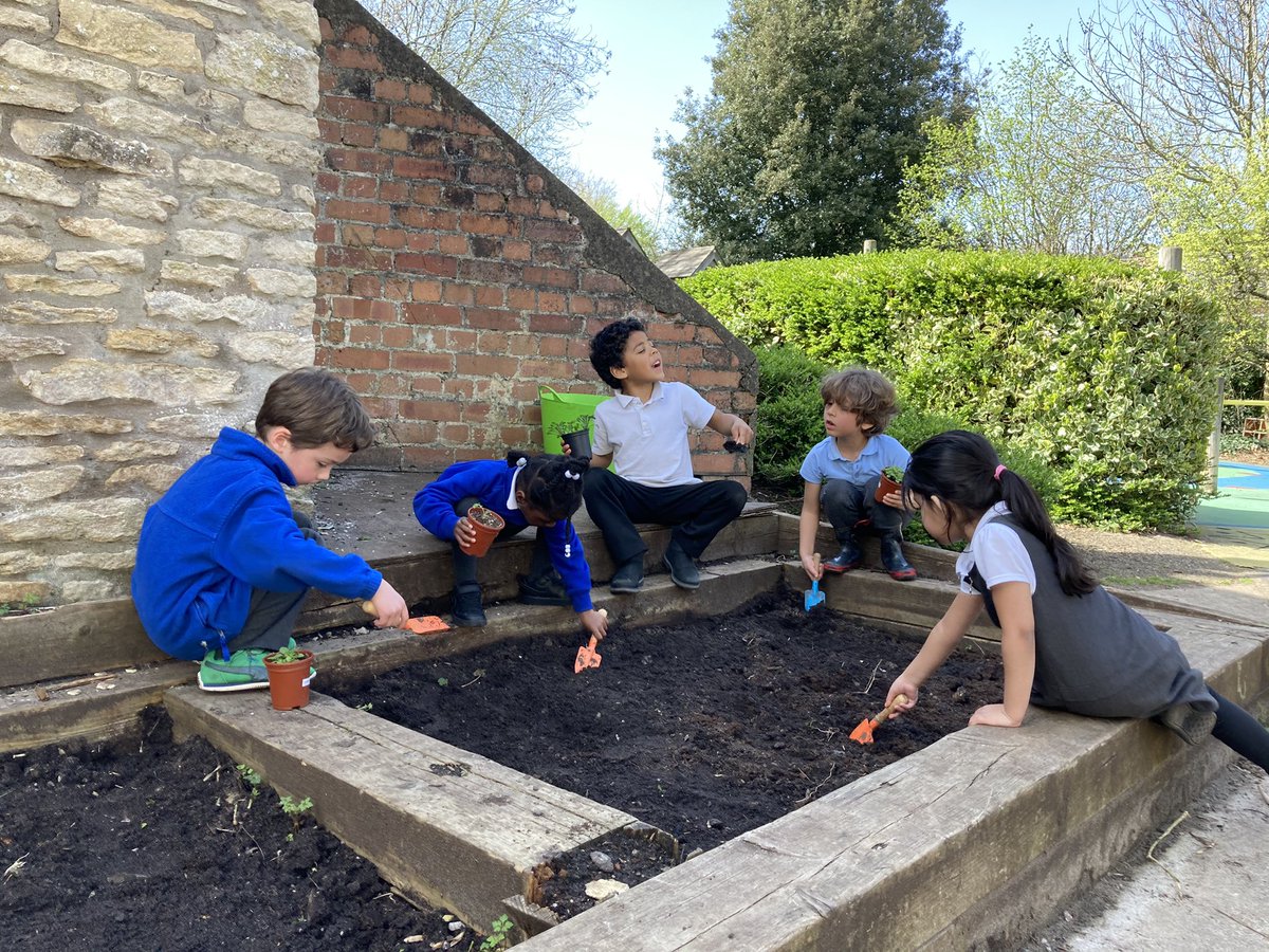 StBarnabas_Bris's tweet photo. Leo pupils loved learning about wildflowers and planting them in the raised bed today with @avonwt https://t.co/B4vx5LEYxZ
