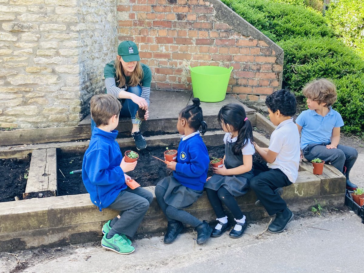 StBarnabas_Bris's tweet photo. Leo pupils loved learning about wildflowers and planting them in the raised bed today with @avonwt https://t.co/B4vx5LEYxZ