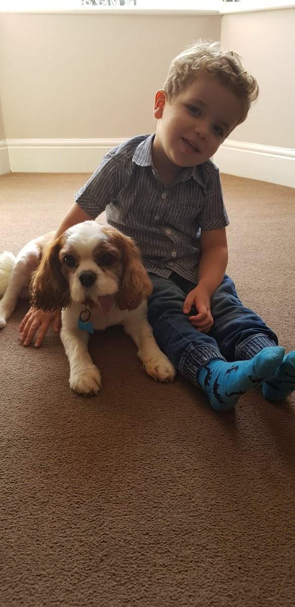 KyleJohnButler's tweet photo. 13 today ππΆ #TobyDog https://t.co/jADnvOfG3j