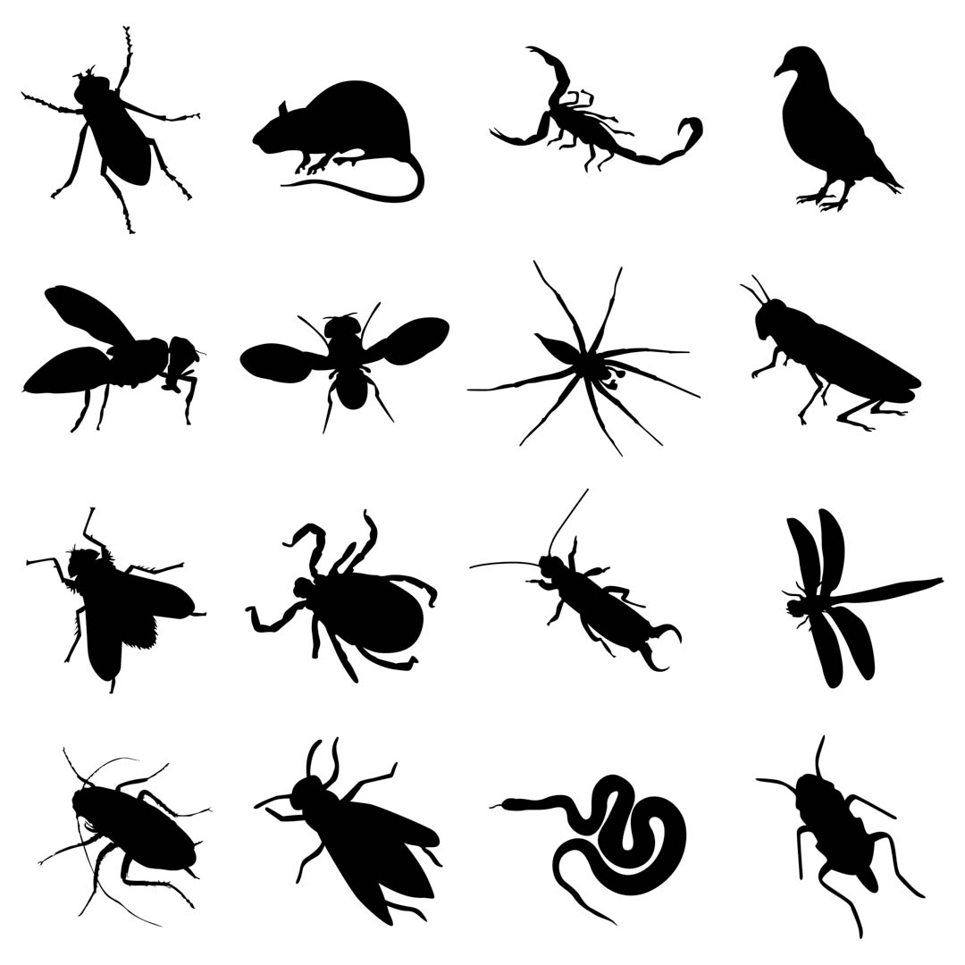 qualitytermite's tweet photo. It can be hard knowing what businesses you can really put your trust in. At Quality Termite &amp; Pest Control, we aim to change that with our superior services. Call us today to learn more at (954) 570-1941! #CritterControl #PestControl #TermiteTreatments https://t.co/QwHqNCHMf2 https://t.co/obXrzHgfrr