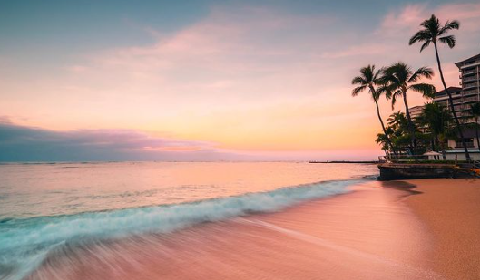 HalekulaniHotel's tweet photo. Take a virtual #SpringBreak to #Halekulani by downloading this Zoom background below and enjoy #NationalVirtualVacationDay! #HawaiiFromHome

📷: sammayhewnz via IG https://t.co/C1DwoyVaje