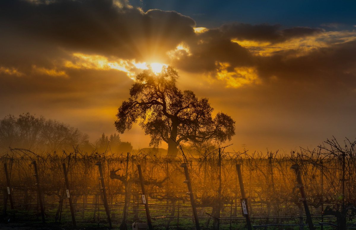 😍😍😍

📸 <a href="/barry/">Barry Petchesky</a>.zupan