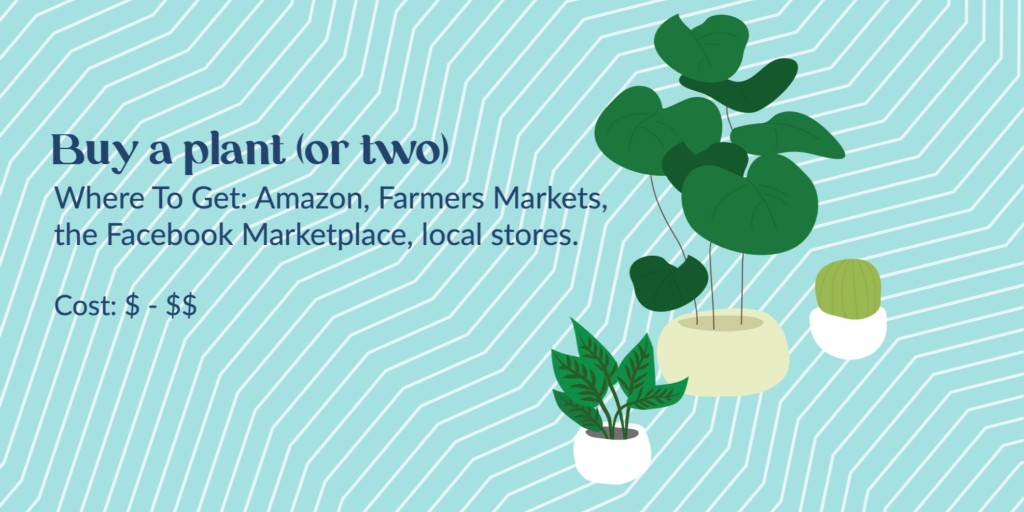 From adding a few plants, to hiding a *crappy* futon with throw  pillows &amp; blankets, there's a ton of ways to make your college apartment not look like a college apartment. For more tips, click the 🔗below!
ow.ly/BBRg50Ebxbo