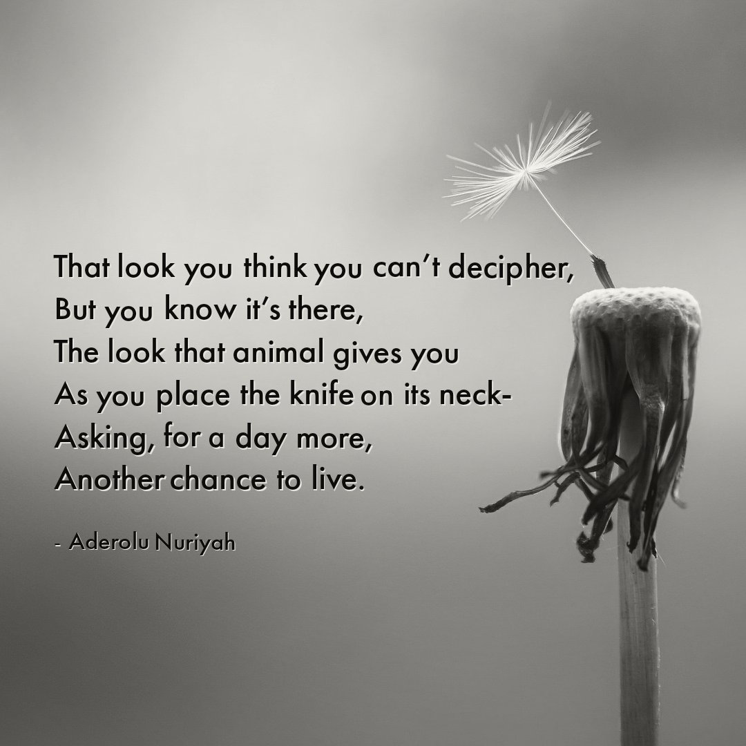 UndividedMag's tweet photo. Deep and profound words in the poem "Rays of envisions" by the talented Aderolu Nuriyah - this is an inspirational and must read poem that you can find on our website today! ✅ 

#poetry #poetrycommunity #poetryisnotdead https://t.co/2sjLjBMyHj