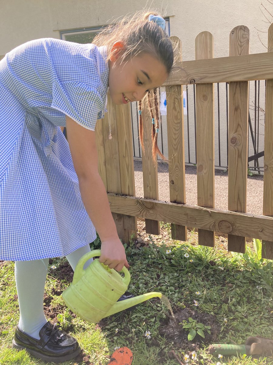 StBarnabas_Bris's tweet photo. Perfect wildflower planting for Taurus pupils today - thanks @avonwt https://t.co/2NvTFsOj2f