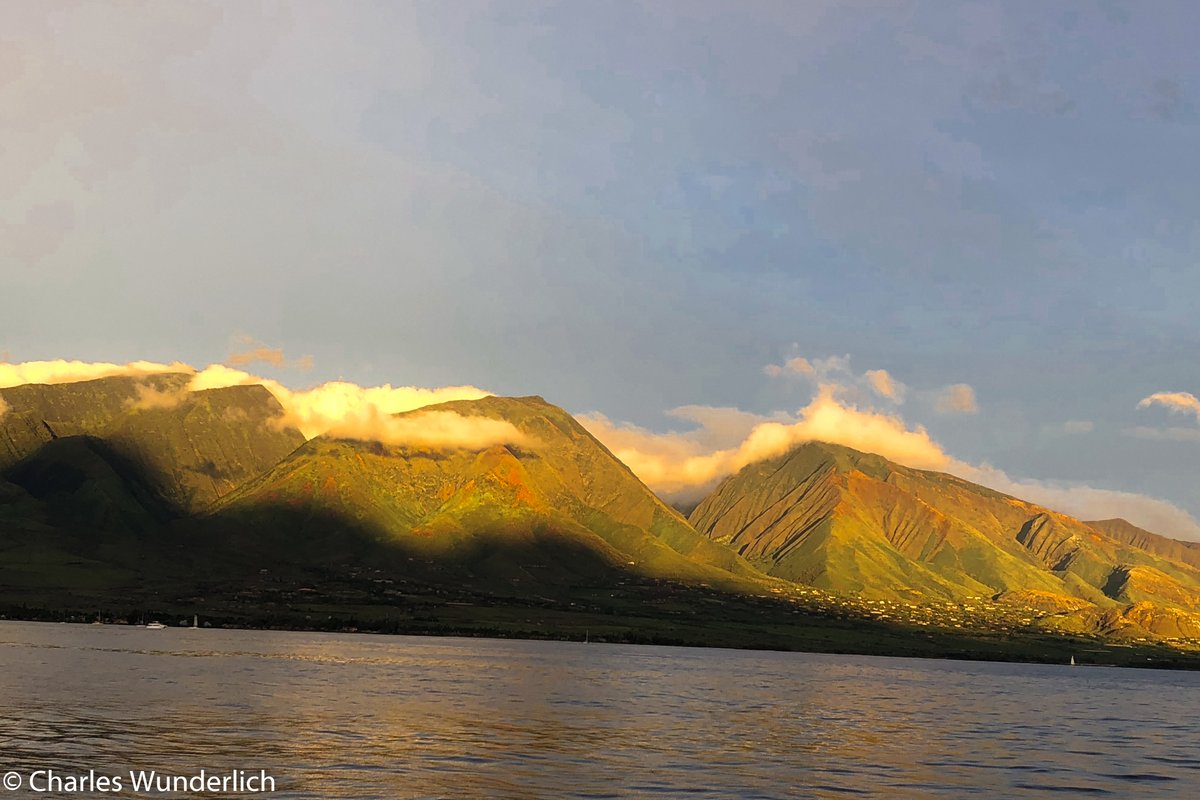 From our trip to Maui, HI
wunderlichphotography.com
.
.
.
.
.
.
#Maui #dallas #dallastx #sachse #sachsetx #wylie #wylietx wylietexas #richardson #dfw #dallastx #dallasvenues #dallasblogger #dallaslife #murphytx #planotx #friscotx  #dallasblogger