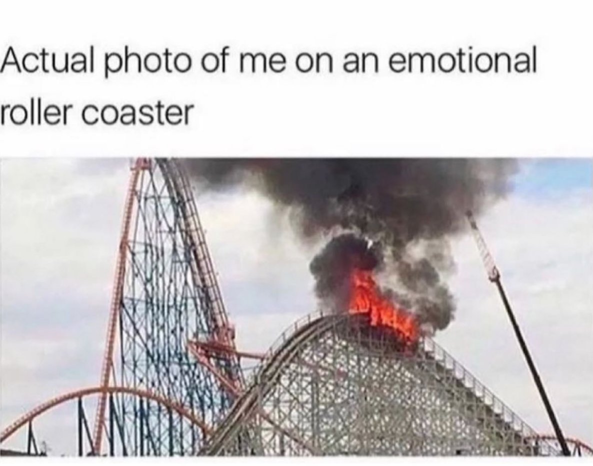 Men's Humor tweet media