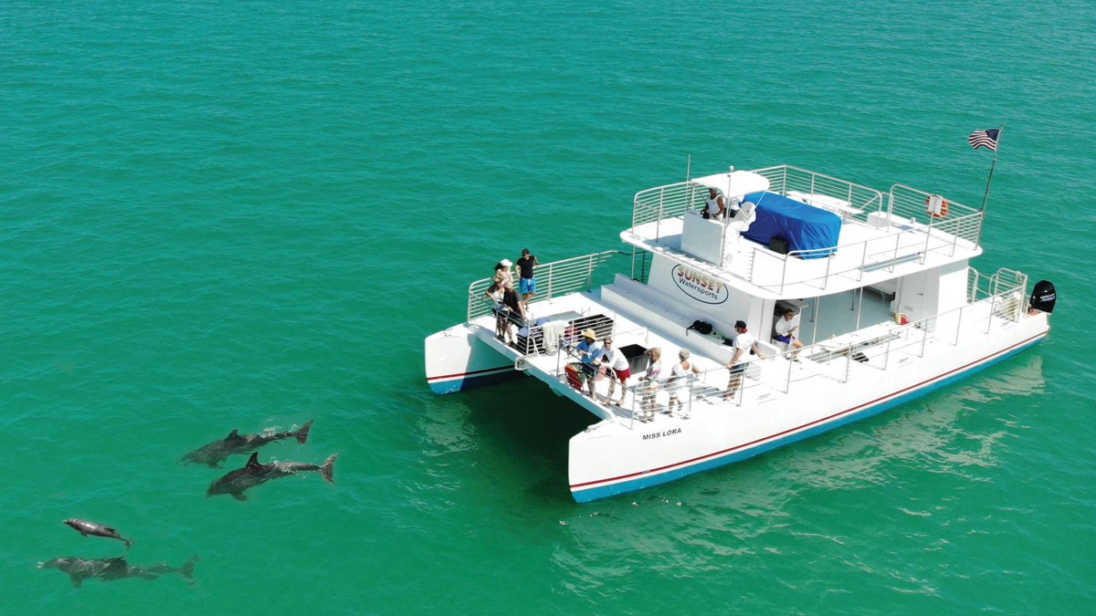 ParrotKeyHotel's tweet photo. Families that play together, stay together. Enjoy a three-night island escape and enjoy all this and more:

🐬 Dolphin Tour with @KeyWestSunsetWS 
🏓 Family beach games
🌮 $100 credit for The Grove Kitchen &amp; Bar

Tempted? Book here: https://t.co/vcAfymgwHY https://t.co/FQoSnwhyTd