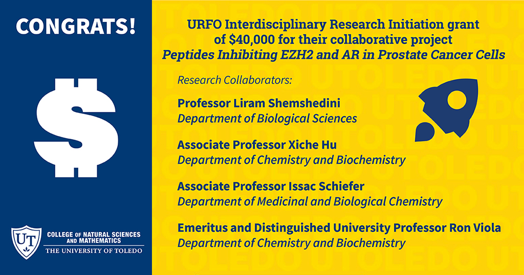 UToledo_NSM's tweet photo. Congrats to @UToledo collaborative research team of Liram Shemshedini #UToledoBiology, Xiche Hu & Ron Viola @ChemistryToledo & Issac Schiefer @utoledopharmacy on their URFO Interdisciplinary Research Initiation grant!
#UToledoNSM #UToledo #EmpoweringDiscovery #cancercellresearch https://t.co/wBoDkb2fOf