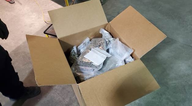 DFOBoston's tweet photo. Great work by @CBP in Highgate Springs, VT! They discovered more than 1300 lbs. of marijuana concealed inside a tractor trailer, street value of $2.6M. #AlwaysVigilaint #CBPOFONewEngland https://t.co/YAuR52AEew