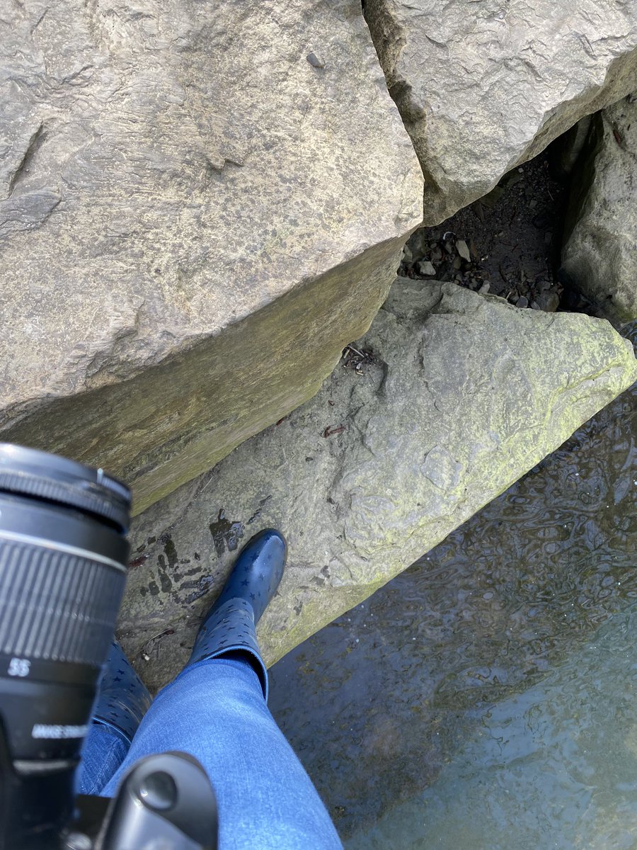 Rocketserver16's tweet image. 