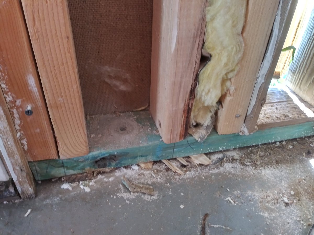 FlyN_Hawaiian14's tweet photo. Got the walls ripped down and anchor bolts in. The contractor that built this addition tried to glue the bottom plate instead of doing it the right way ππ€£ππ€£π #AlwaysFixingShityWork #DoItRightThe1stTime #iTriedToTellYa #iTriedToTellYa https://t.co/rQ7N80GRTv