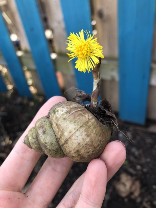 Everybody loves the sunshine, just bees and things and flowers 🌞🌻 https://t.co/OVS0NXb94L