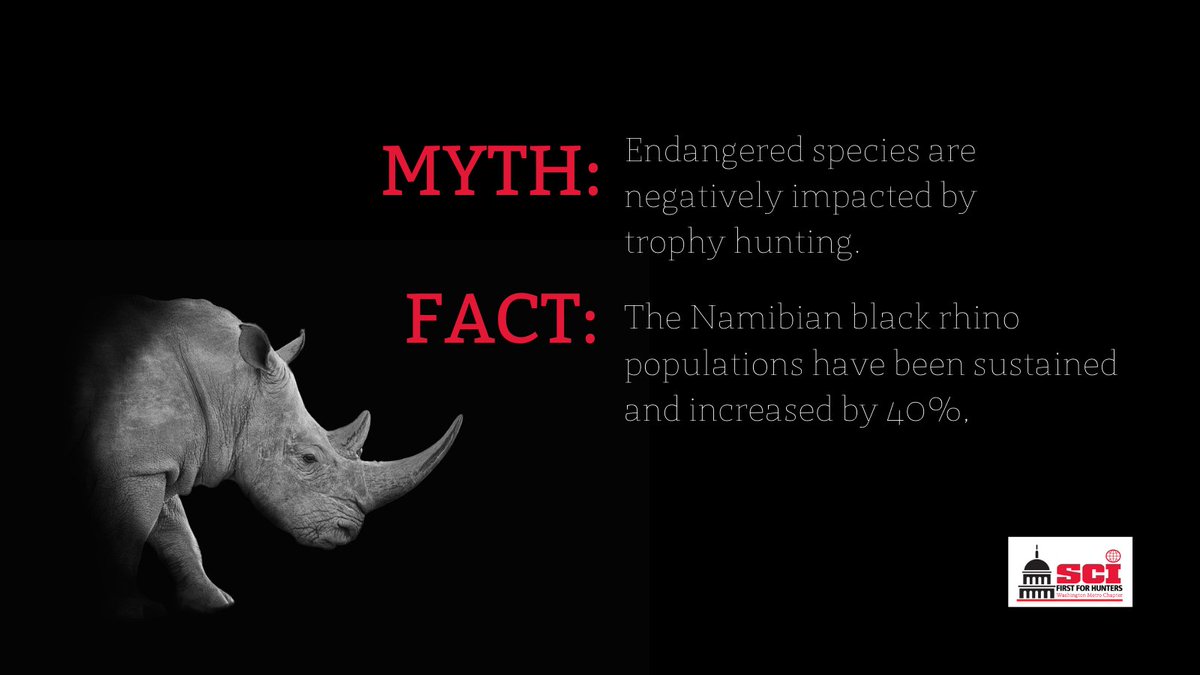 dcsafariclub's tweet photo. Between 2007-2014 only ten black rhinos were hunted in Namibia, generating over $1.2 million for anti-poaching and rhino conservation. Incentivized private landowners work to maintain or increase their populations.  

#SCI #SafariClub #Conservation #WildlifeConservation https://t.co/qWfI6uxmkM