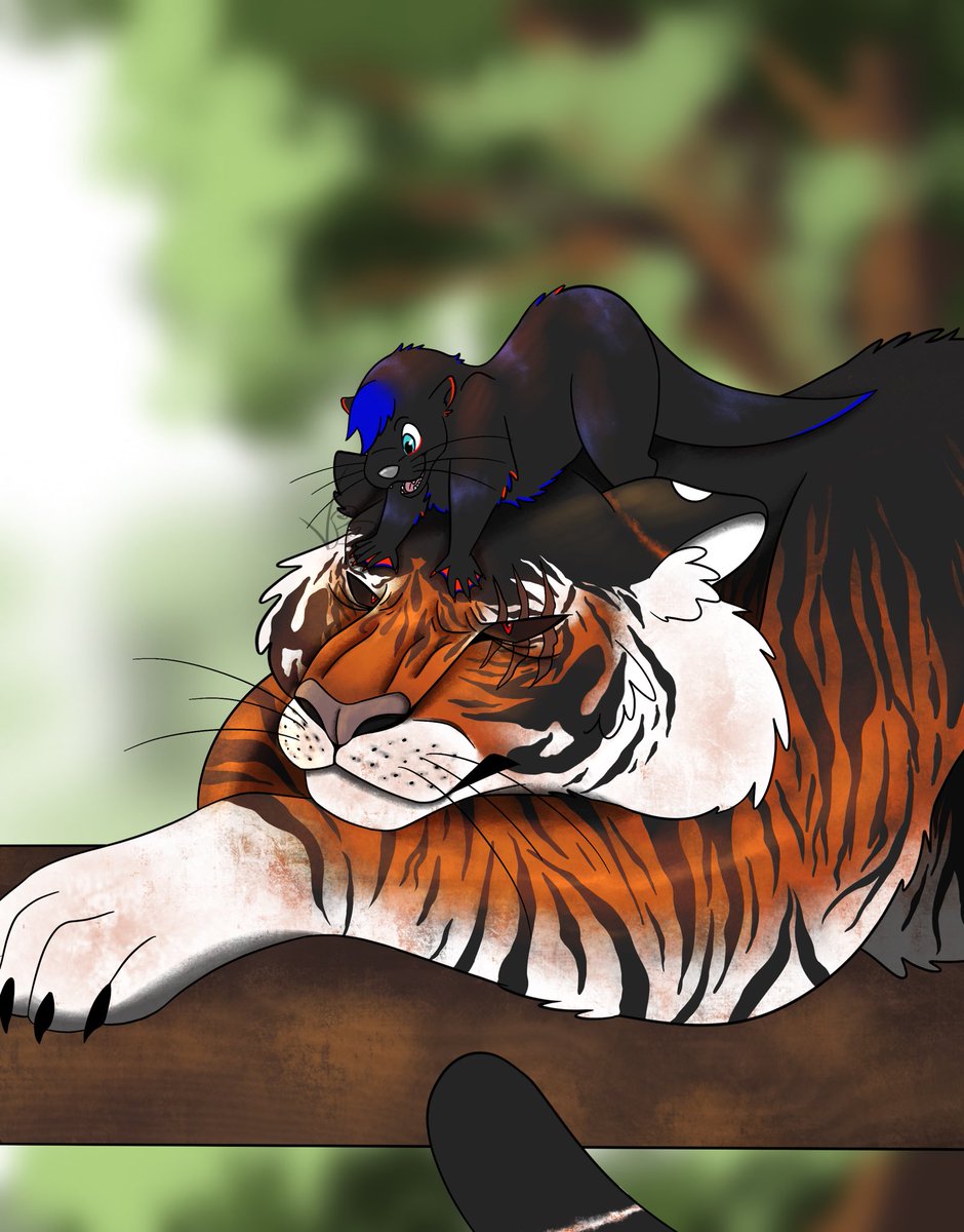 ValebotB's tweet photo. Surprise Drawing for @MetaljackMPS of her oc metaljack with my oc blackstar 🦦🐅❤️🖤
#tiger #Tigers #OC #otter #art #fanart #Procreate #procreateart #procreateartis #digitaldrawing #digitalart #DigitalArtist #Star #furry #mystyle #animal #furryoc #Jungle https://t.co/mDepLbzlIy