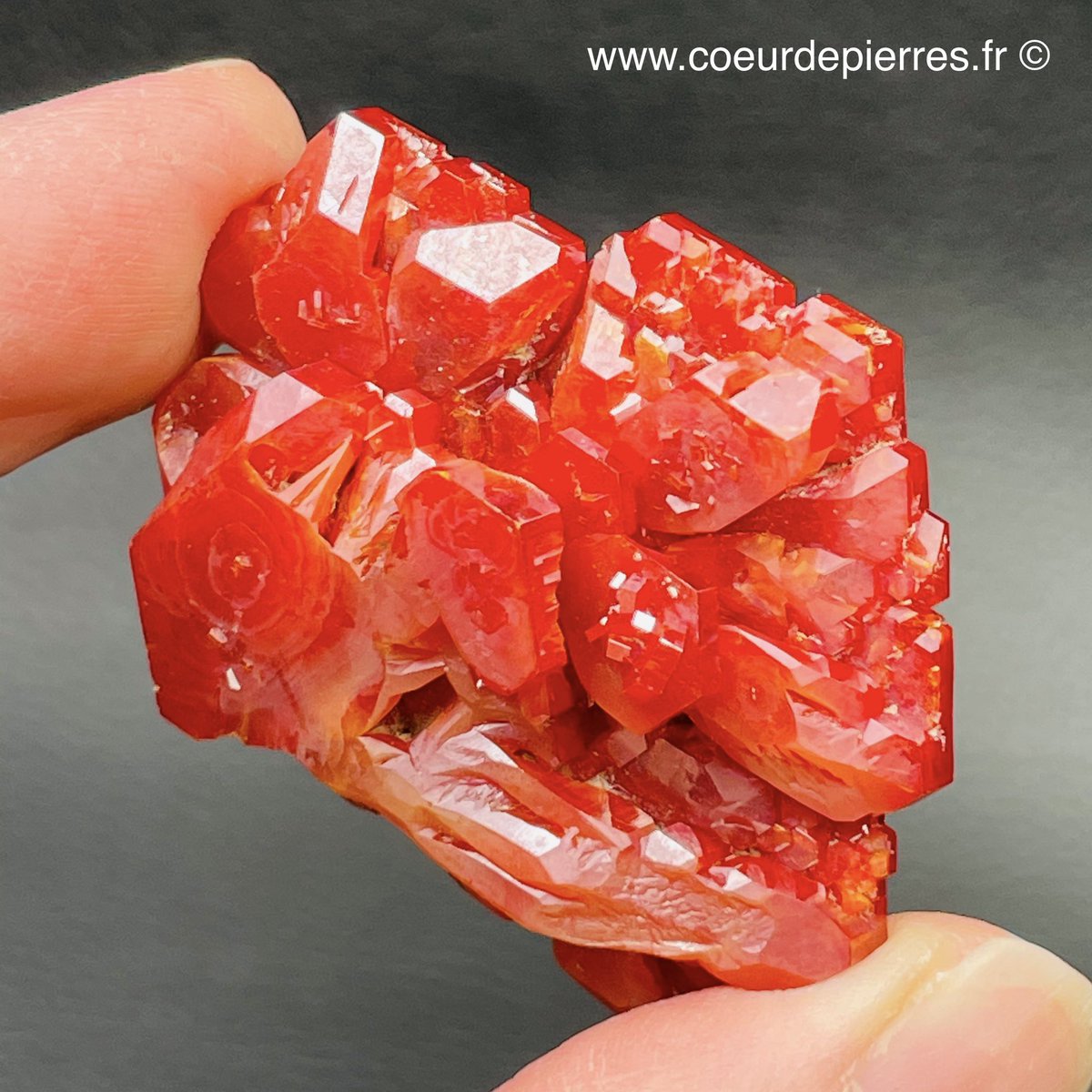 CoeurPierres's tweet photo. De magnifiques Vanadinite du Maroc sont en vente sur https://t.co/jCzV6mtBVv 👈 #vanadinite #Morocco #collection #cristaux #geologie #cristal #minerals #mineraux #cristaux #orange https://t.co/PAHbzyeo41