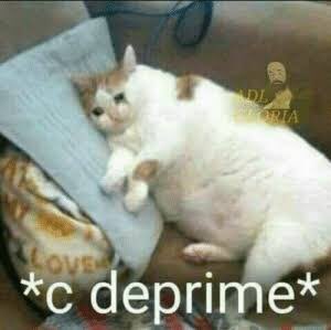 veleztattoos's tweet photo. Este año CNCO cumple seis años
#Top50CNCO @CNCOmusic
PARTY FOR RICHARD #WelcomeRich @lumnayofficial https://t.co/DKZDswffgc