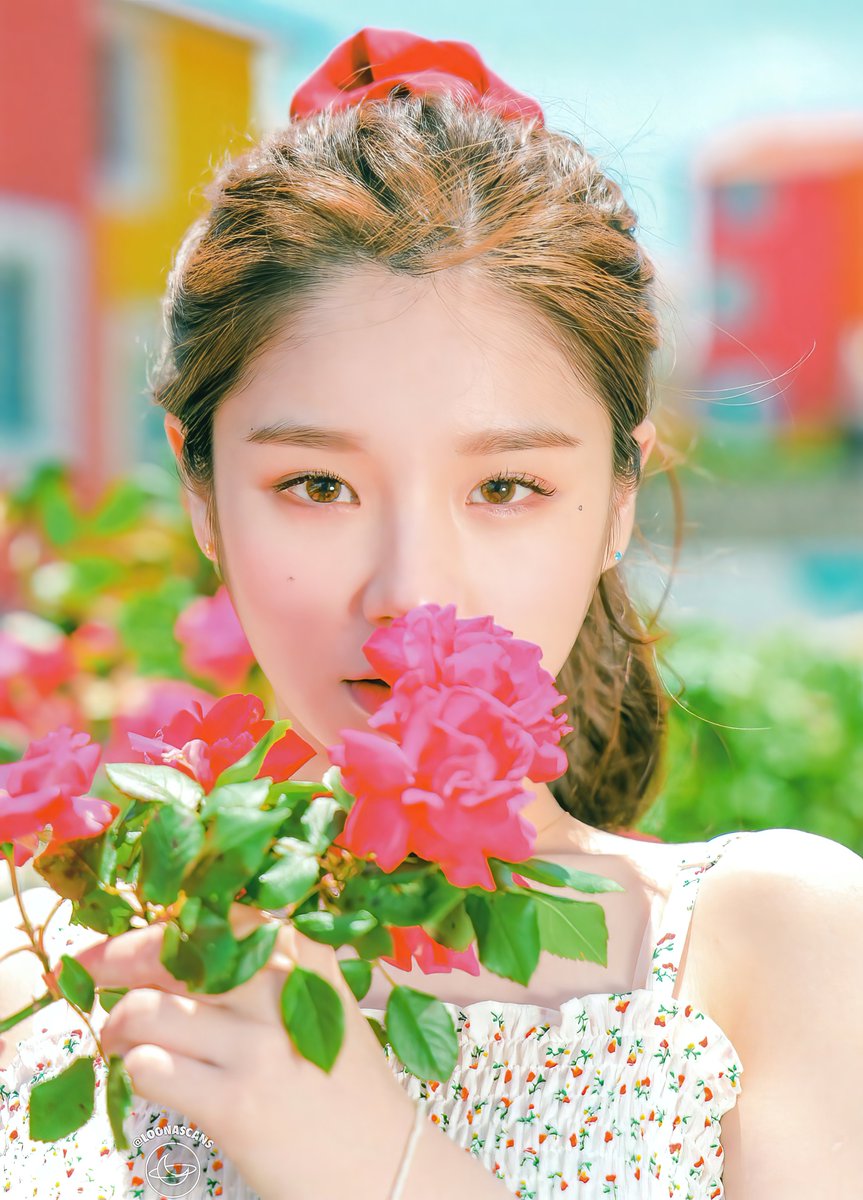 LOONATHEHQ's tweet photo. #이달의소녀  #LOONA  @loonatheworld
LOONA ISLAND SCANS UPSCALED THREAD
 Source: loonascans

Some group photos might not be uploaded as the quality isn't great when upscaled. https://t.co/bWkg0z5uFX