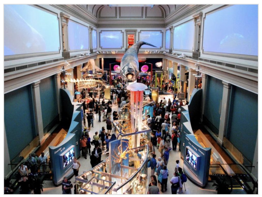 Join us Mon., 4/5 at 4pm, to visit The Smithsonian Museum: Sant Ocean Hall!

Dive into the world’s oceans and learn about the strange and wonderful creatures living there now and those that lived deep in our planet’s past.

Visit southlakegifted.org/students to register! *open to all*