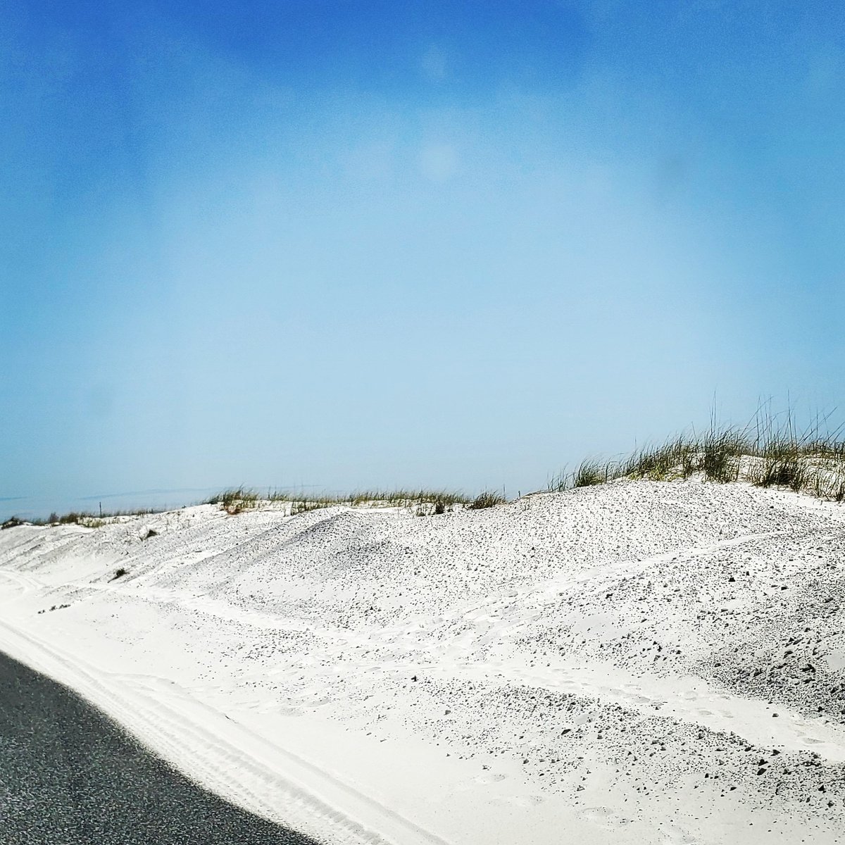 Sunshine and Vine | Travel Blog tweet media