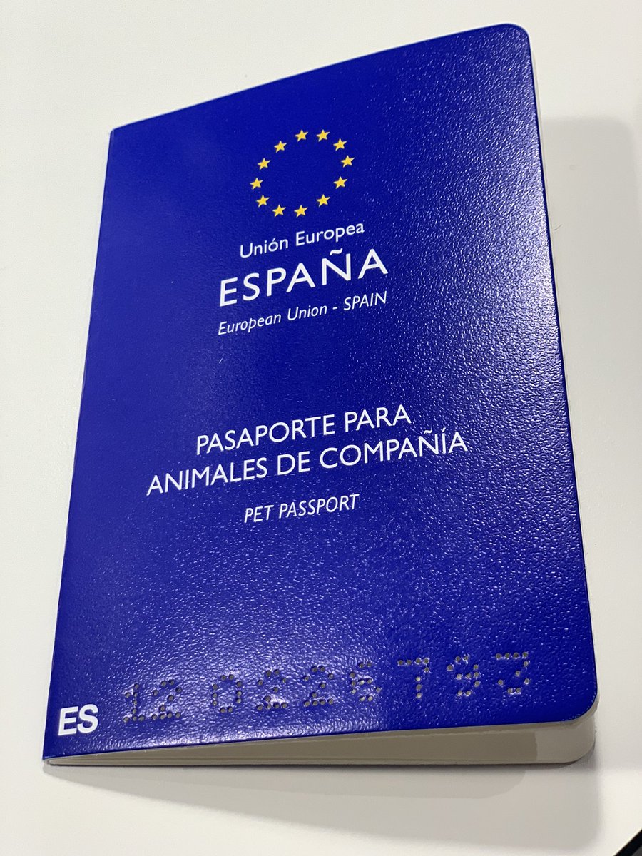 guilleferrea's tweet photo. Que es este nivel de ternura? Se come? https://t.co/i7ZAGIhw0H