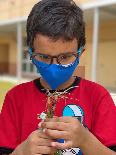 Lots of things growing <a href="/ConnertonElem/">Connerton Elementary</a>! Thank you to Mrs. Moore for getting our garden boxes up and running. Students are seeing the important relationships that plants and animals have in an ecosystem!