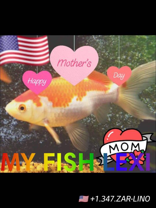 JohnZarlino8's tweet image. photos.app.goo.gl/2rGTgKYxmYAm8E…