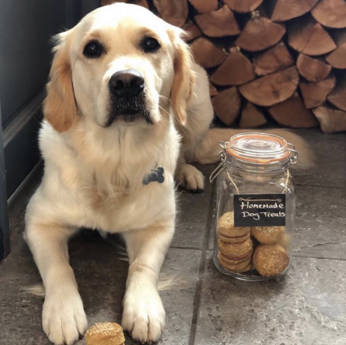 We’re missing our canine customers as much as their owners! With weather like we’ve had the last couple of days we can’t wait for summertime in the Bay ☀️