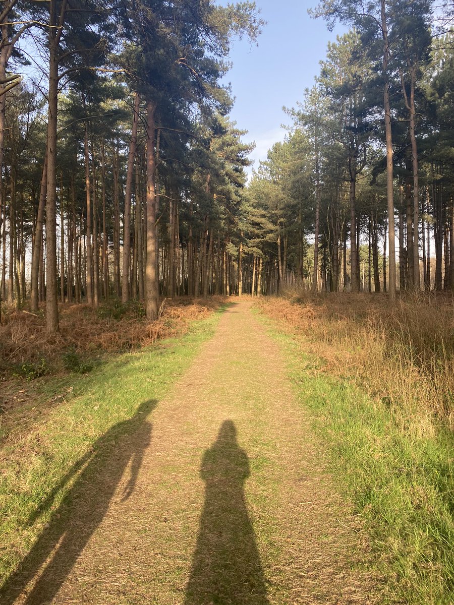 EventyHelen's tweet photo. Already enjoying the spring light nights &amp; being able to travel a little further to go for walks after work! #StamfordBridge #SandHutton #Yorkshire #Sunset #LockdownLifting https://t.co/sbjarb5acZ