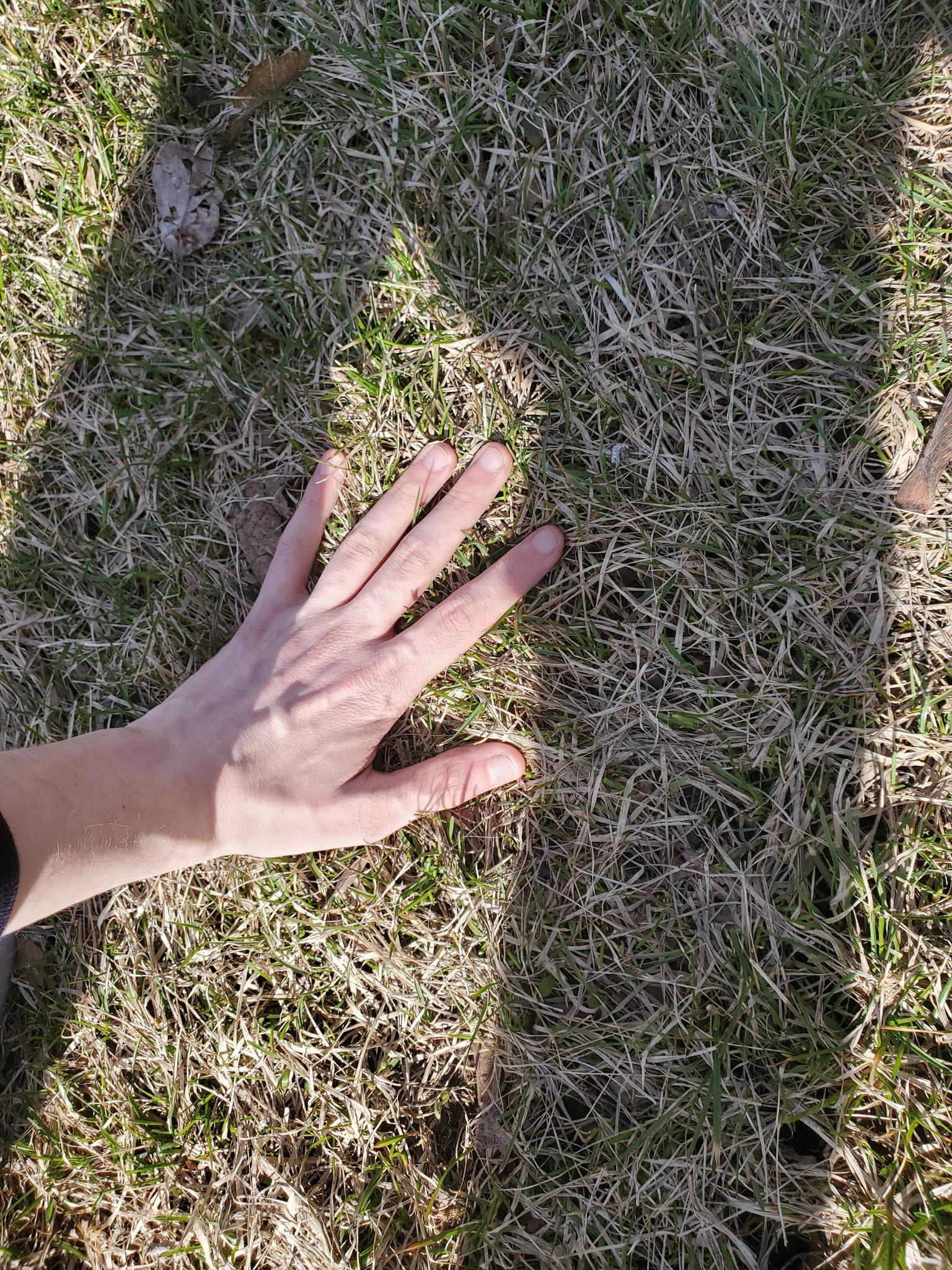 touching grass