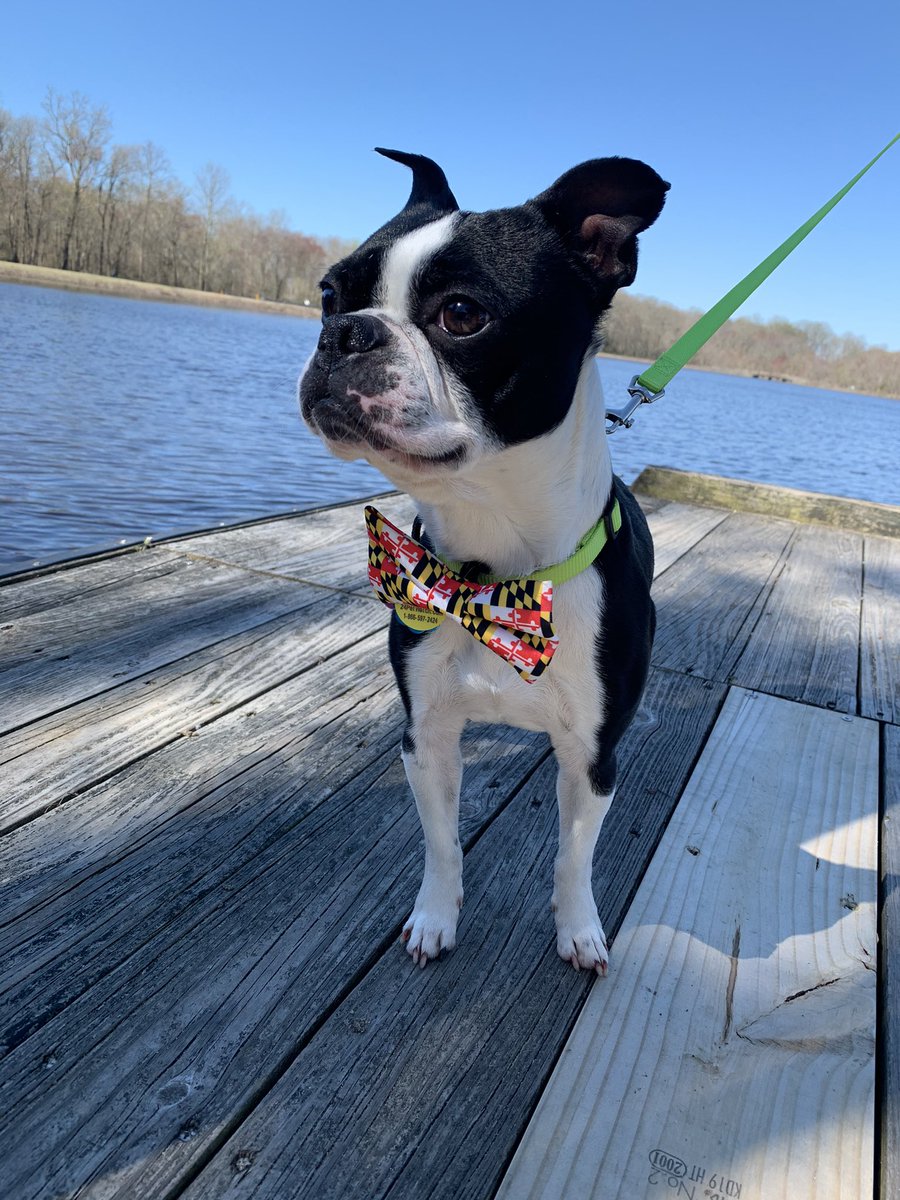 Jen Swanson ✌️ tweet media