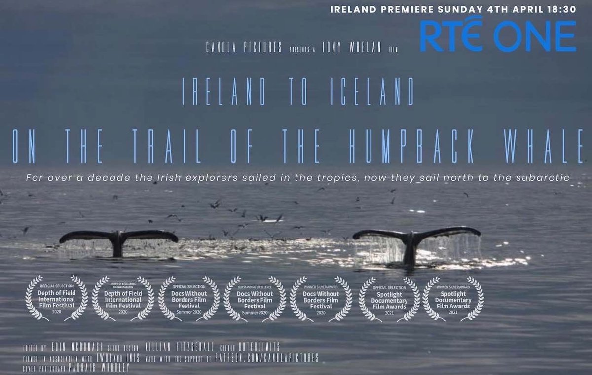🎥 IRELAND TO ICELAND- ON THE TRAIL OF THE HUMPBACK WHALE
⚡️IRISH PREMIERE RTE ONE 18:30 SUNDAY THE 4TH OF APRIL.

Follow our journey Sunday next on RTEone!

#IWDG
#RTEONE 
#RESEARCH 
#WHALES
#DOLPHINS
#CONSERVATION
#MarineProtectedAreas 
#LoveYourSea