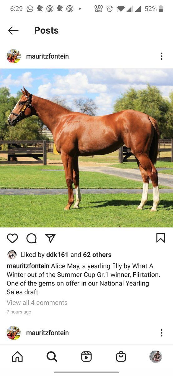 TeamWildRacing's tweet photo. Just me. Or a striking resemblance? @Mauritzfontein https://t.co/Q1SumSjb8u