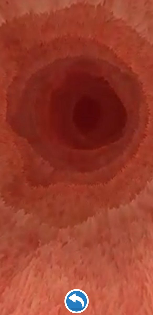addie_jen's tweet photo. My S2 class we're learning about the digestive system. The Virtuali-Tee was a great addition to the lesson, especially the virtual trip through the small intestine.@Sci_BHS #education #STEM #virtualitee #scienceeducation #technology https://t.co/C4dMyY6Fo3