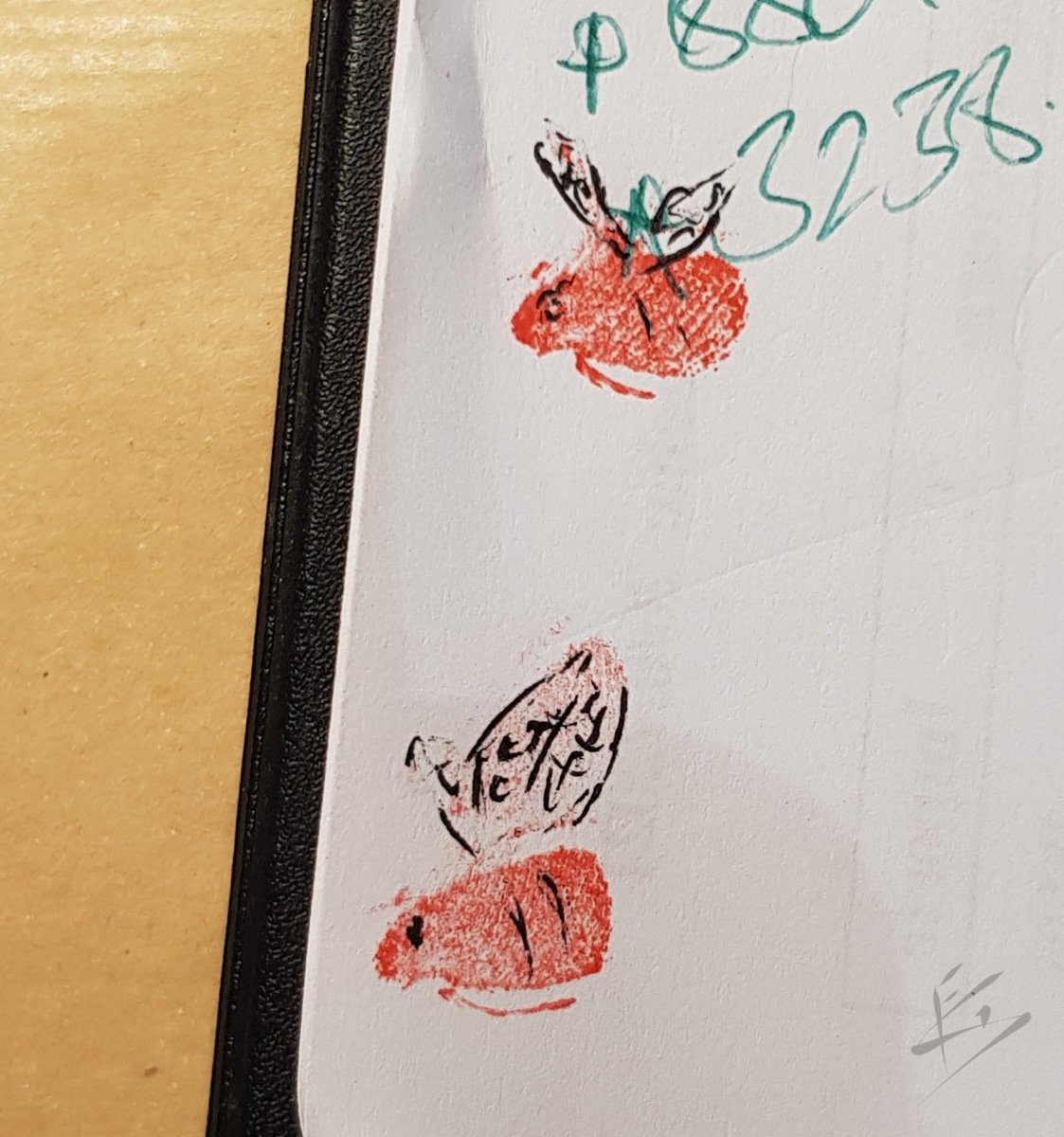 TOPIRRO1's tweet image. Más manchas y más bichos...🤔...éstos no sé que son ¿tú lo sabes?