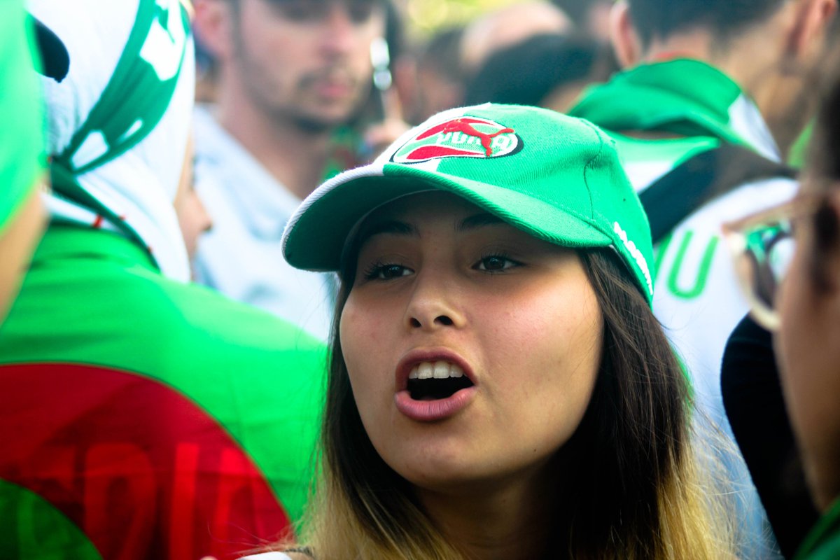 terrafkamal's tweet photo. #Algerianteam 
#lesverts 
#Fennec https://t.co/myB6ER0p9c